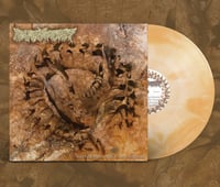 Image 2 of  PHARMACIST - Vertebrae After Vertebrae (12"LP)