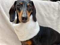 Snoods