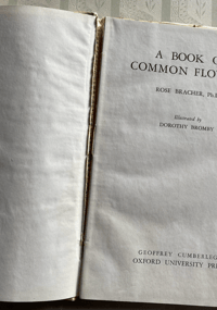 Image 3 of A Book of Common Flowers