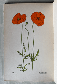 Image 2 of Vintage German Flower book (A)