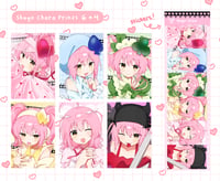 Shugo Chara