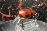 Image 1 of Squarebill LC 2.5 Crankbait  08