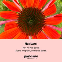 Nativars: Not All Are Equal