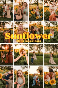 Image 1 of SUNFLOWER MINI 7/15-16