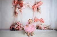 Image 2 of Package -Newborn-, 6 Month & 1st Birthday ($100 savings)