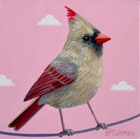 Cardinal Lady Pink I