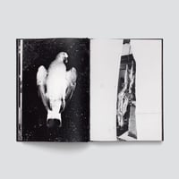 Image 9 of The Waiting Room<br>Photobook