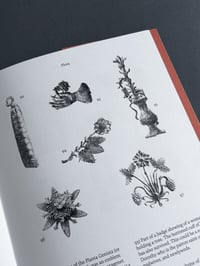 Image 18 of Pilgrim Badges of the Middle Ages