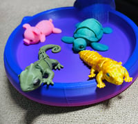 Image 1 of 4  3D Printed Little Animal Minis | Turtle, Lizard, Gecko &  Pig