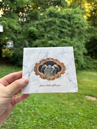 God Program - Forever Lasts Another Year CD