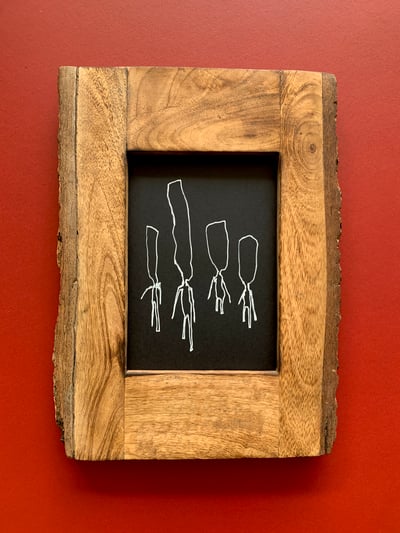 Image of spindly visitors (original) FRAMED -very cool frame