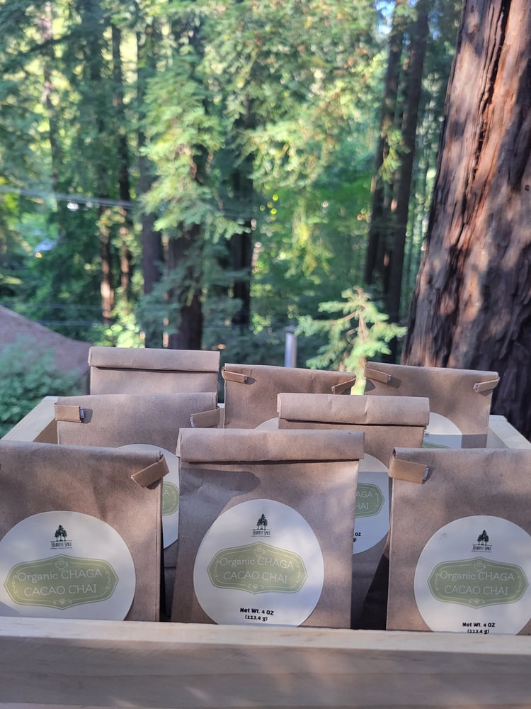 Image of Organic CHAGA Cacao Chai