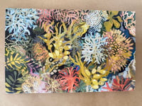 Seaweed Card