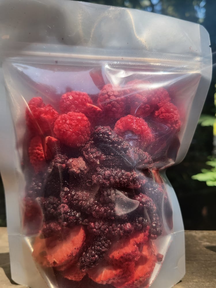 Image of Freeze Dried Fruit Best Of Sonoma Spring