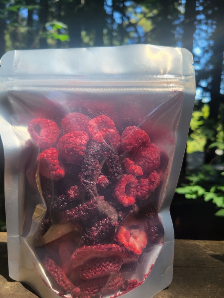 Image of Freeze Dried Fruit Best Of Sonoma Spring