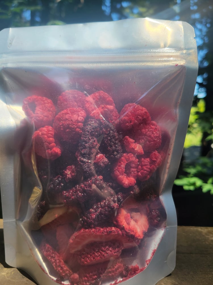 Image of Freeze Dried Fruit Best Of Sonoma Spring