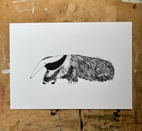 Image 2 of Anteater Print 