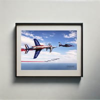 Patrouille de France en vol