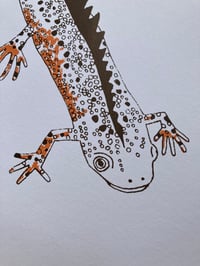 Image 3 of Great Crested Newts Print