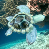 Image 3 of Honu Boro