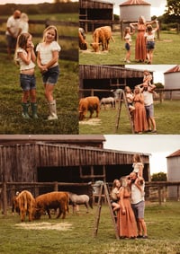Image 2 of MILL'S FALL FARM MINIS DEPOSIT (with animals)