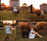 Image 4 of MILL'S FALL FARM MINIS DEPOSIT (with animals)