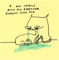 Partner doesn’t like me 