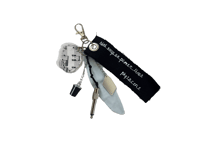 bird songs on power lines bag charm