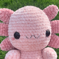Image 2 of Velvet Axolotl Crochet