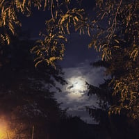 Image 2 of Digital Photography