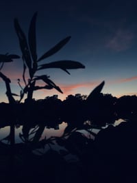 Image 4 of Digital Photography