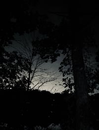 Image 5 of Digital Photography