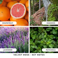 Image 4 of Velvet Moss Bar Soap 