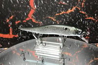 Image 2 of TA 110 Jerkbait SUSPEND 3516