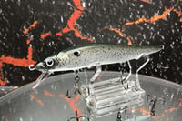 Image 1 of TA 110 Jerkbait SUSPEND 3516