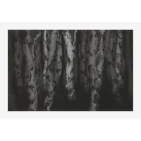 Image 1 of Near Light