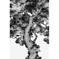 Image 1 of Autumn Tree