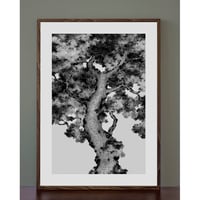 Image 2 of Autumn Tree