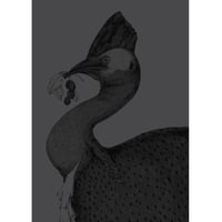 Image 1 of This Old Skin
