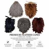 Image 1 of Capes 