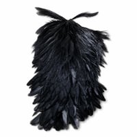 Image 4 of Capes 