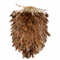 Image 5 of Capes 