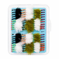 Image 2 of stocking bugs