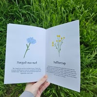 Image 2 of Flowers book