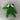 Cheeky Green Frogby