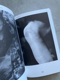 Image 2 of L'ANO SOLARE, A YEAR LONG PROGRAMME OF SEX AND SELF-DISPLAY