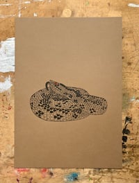 Image 3 of Adder Print