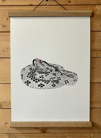 Image 4 of Adder Print
