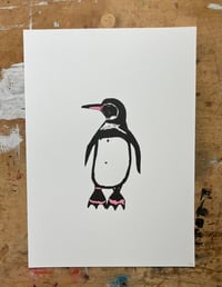 Image 2 of Galapagos Penguin Print