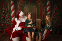 Image 2 of Deposit for Santa Experience Mini Sessions 2026